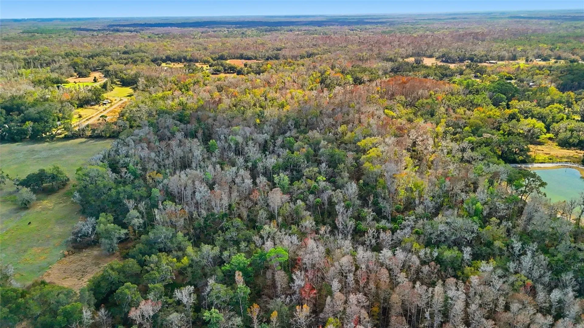Higginson Road Zephyrhills FL 33540