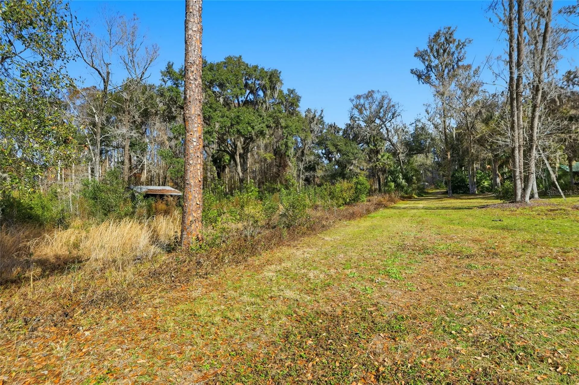 Higginson Road Zephyrhills FL 33540