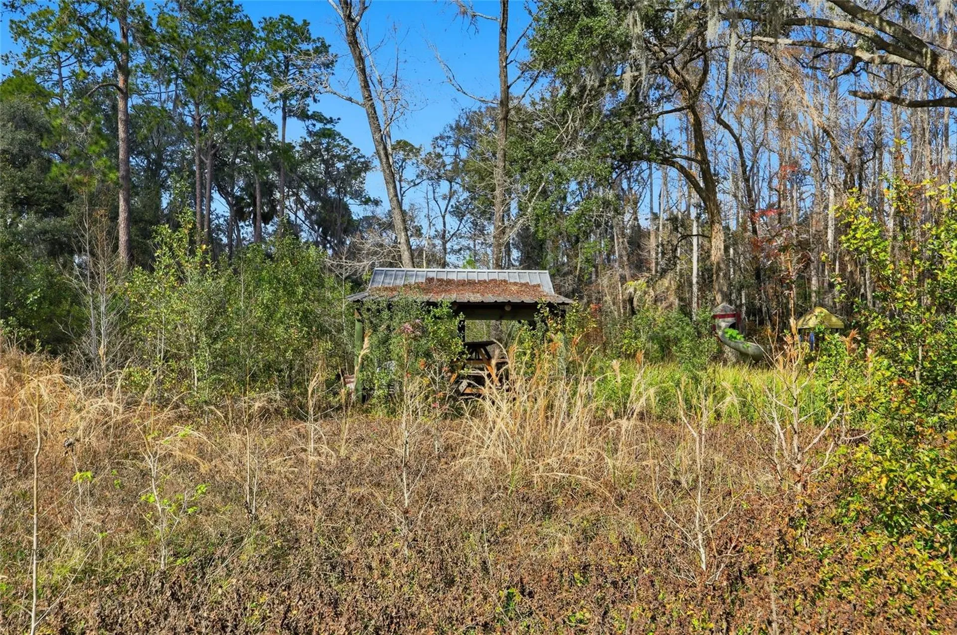 Higginson Road Zephyrhills FL 33540