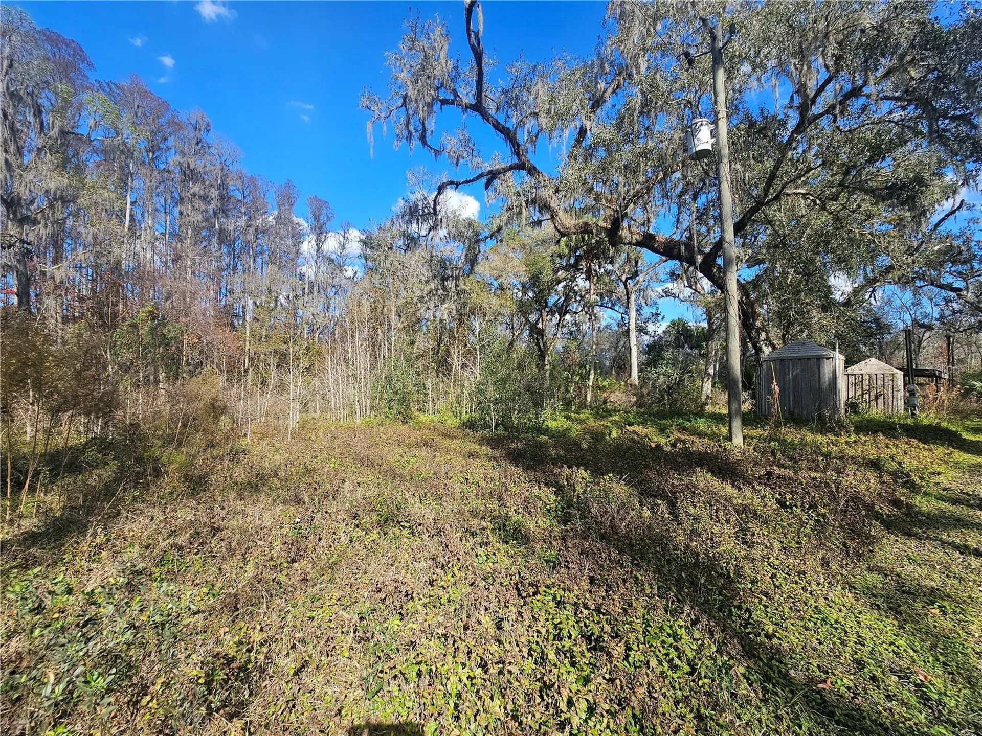 Higginson Road Zephyrhills FL 33540