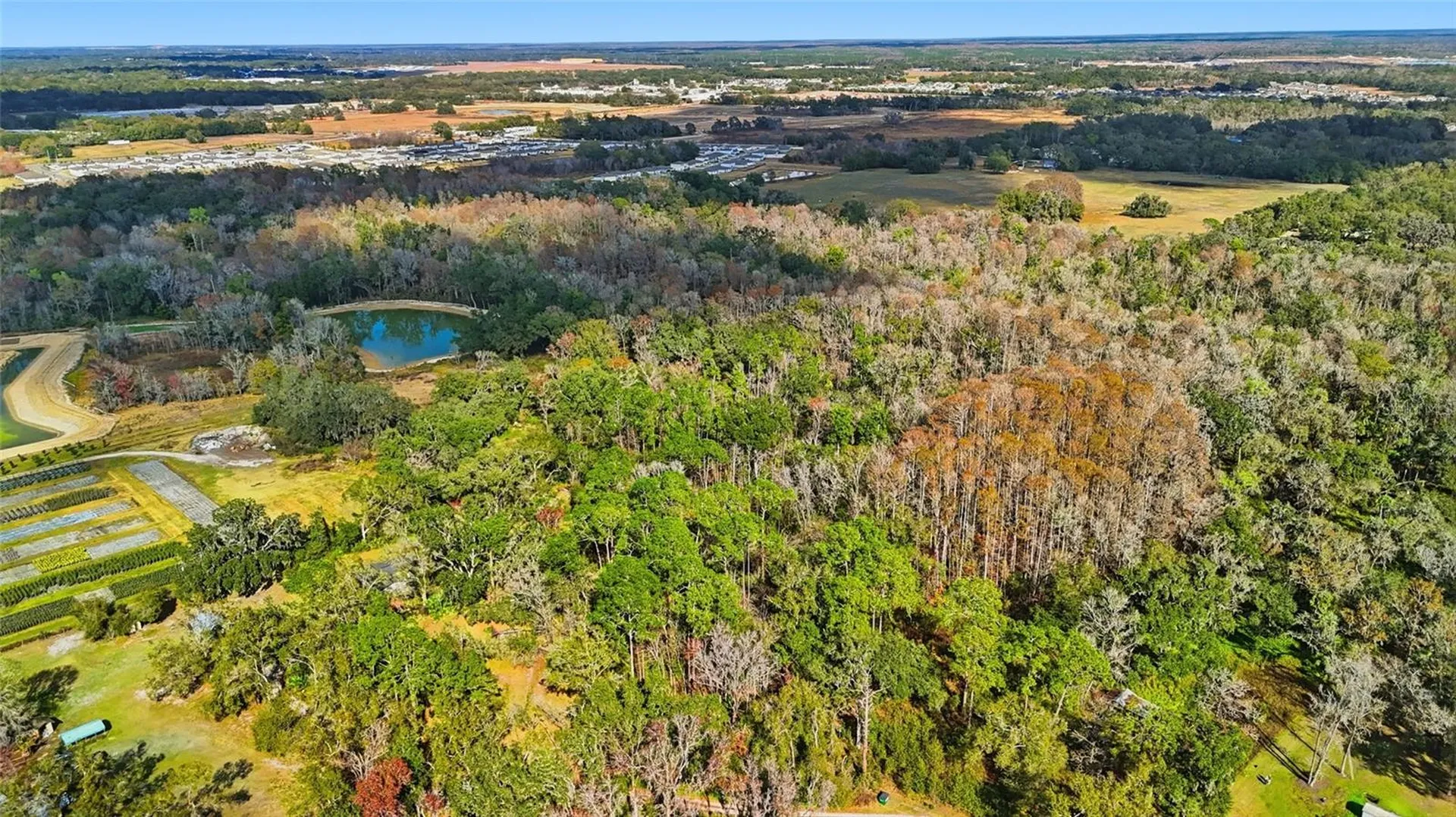 Higginson Road Zephyrhills FL 33540