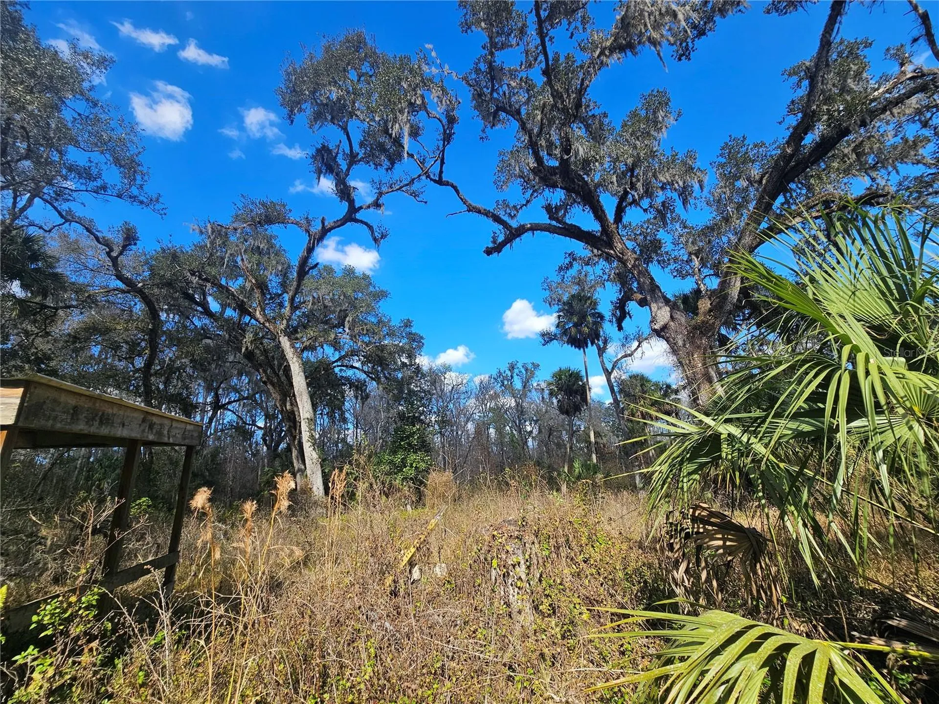 Higginson Road Zephyrhills FL 33540