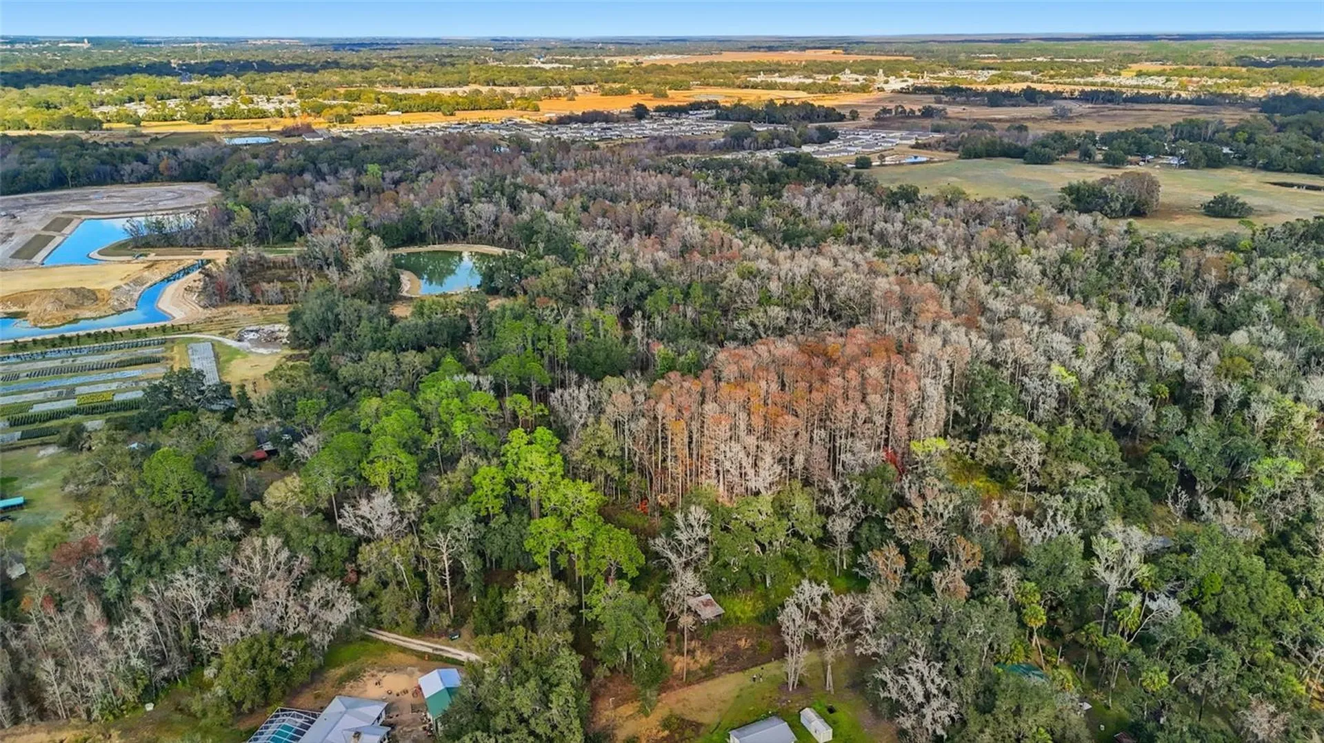 Higginson Road Zephyrhills FL 33540