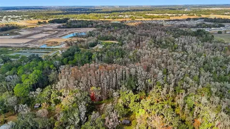 Higginson Road Zephyrhills FL 33540