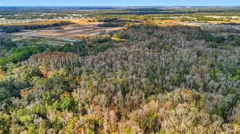 Higginson Road Zephyrhills FL 33540