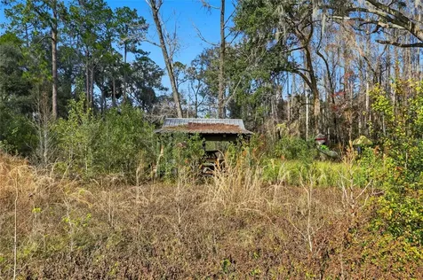 Higginson Road Zephyrhills FL 33540