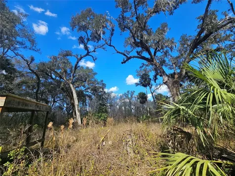 Higginson Road Zephyrhills FL 33540