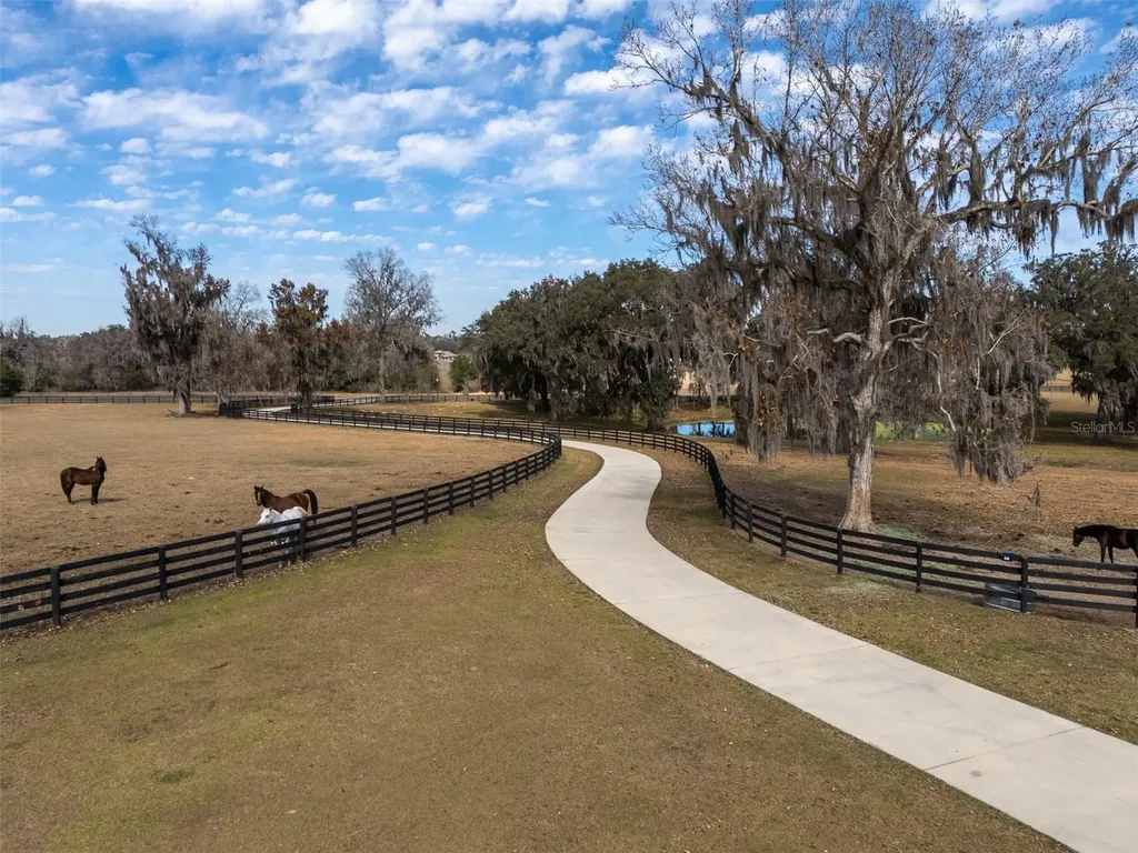 11920 SE 22nd Avenue Road Ocala FL 34480