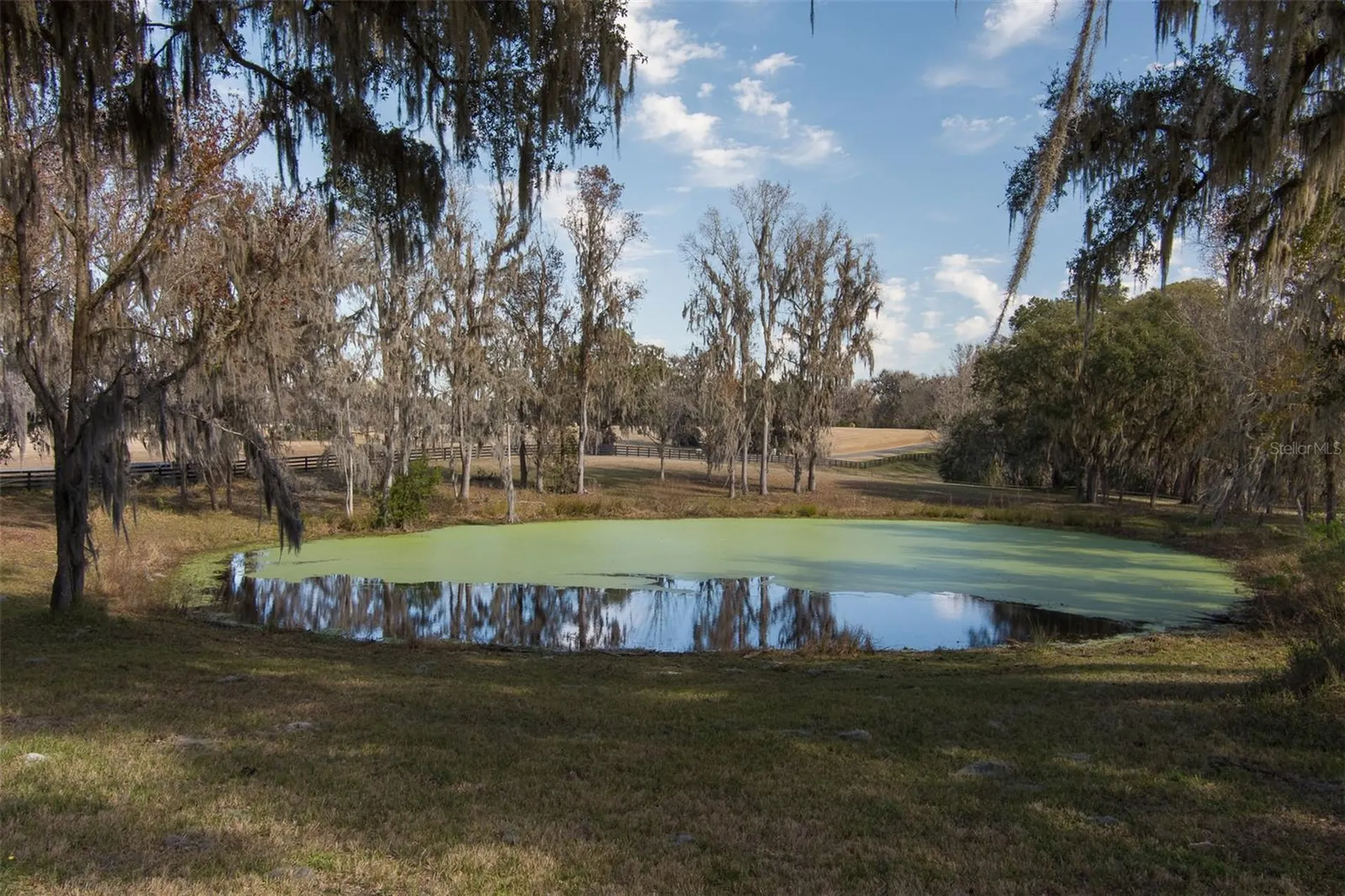 11920 SE 22nd Avenue Road Ocala FL 34480