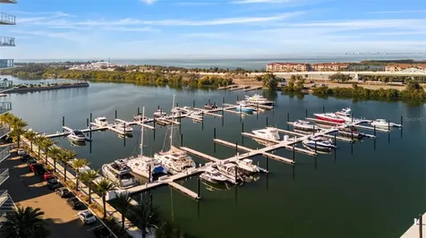 5351 Bridge Street Tampa FL 33611