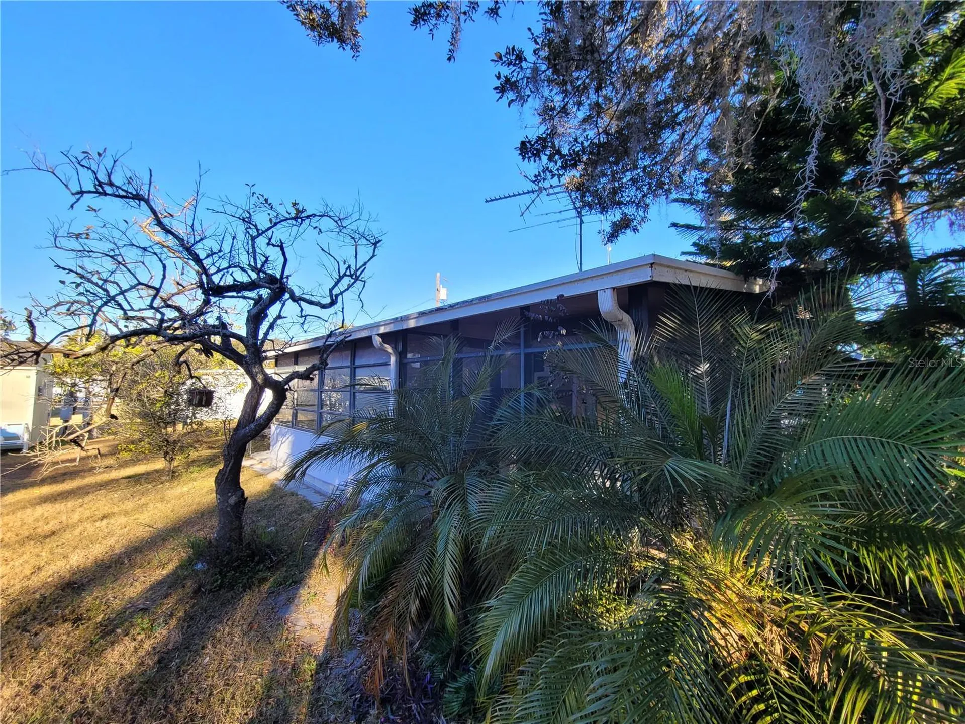 5021 Hill Drive Zephyrhills FL 33542