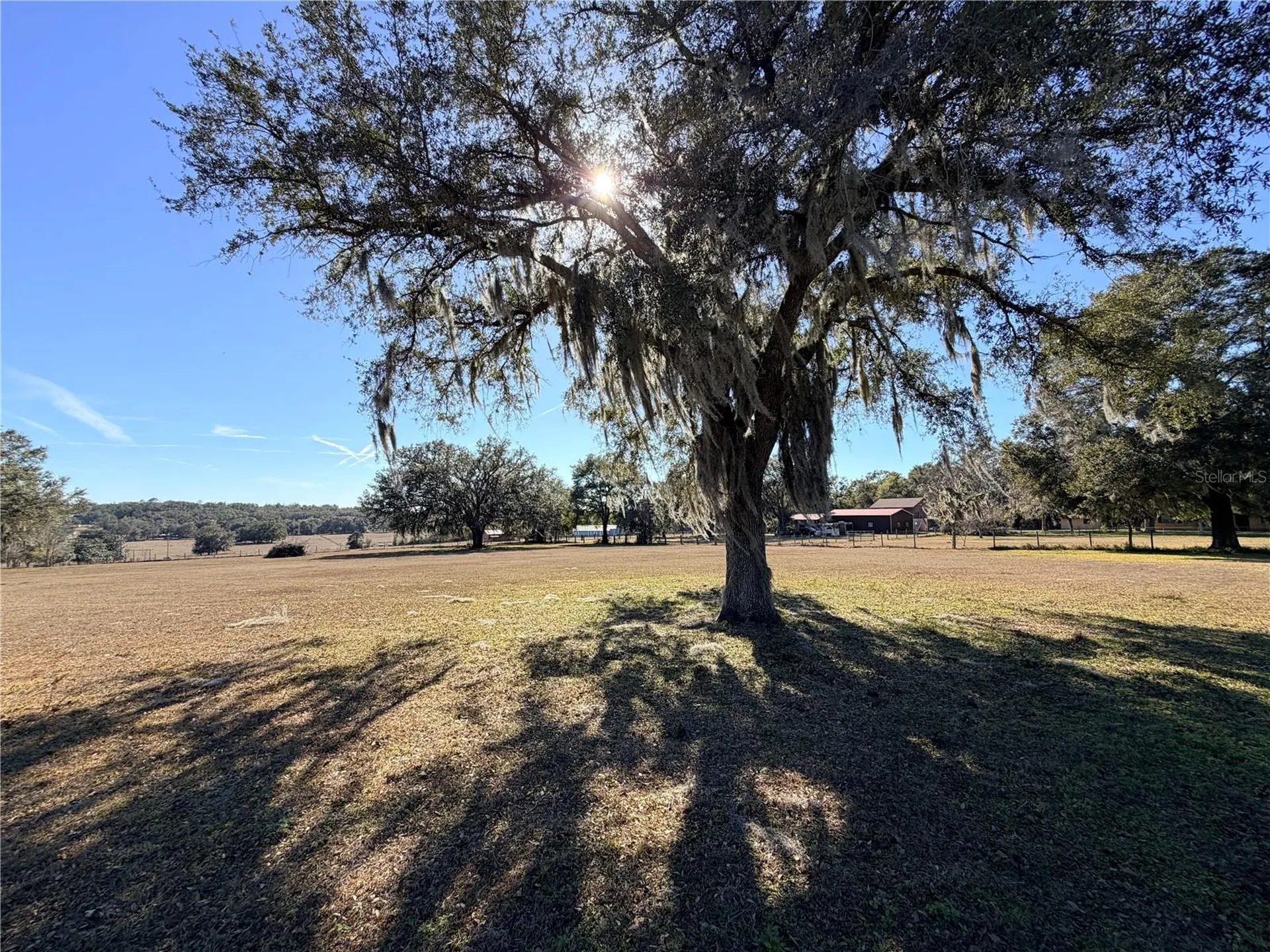 35324 Blanton Road Dade City FL 33523