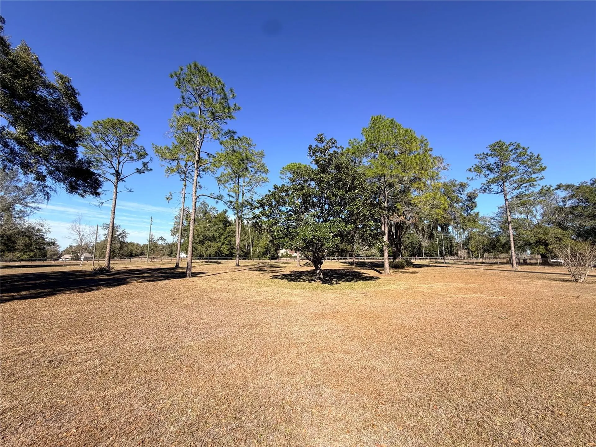 35324 Blanton Road Dade City FL 33523