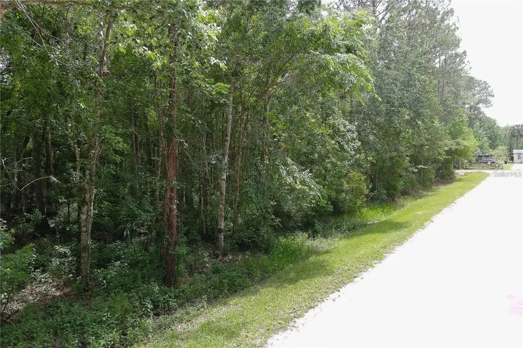 1823 Honeytree Street Bunnell FL 32110