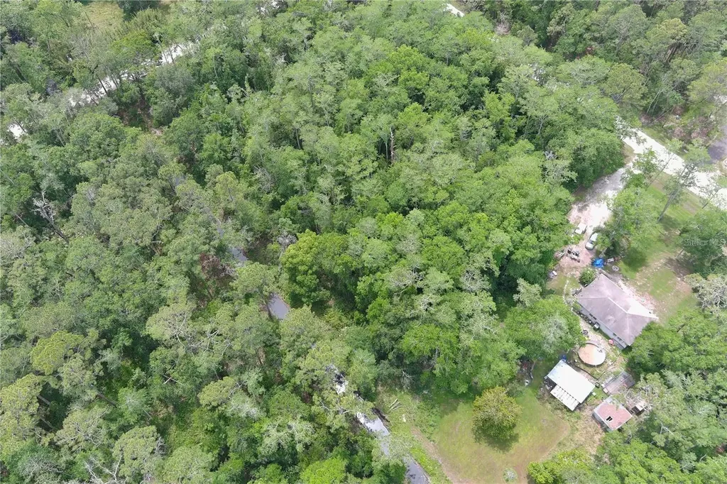 1823 Honeytree Street Bunnell FL 32110