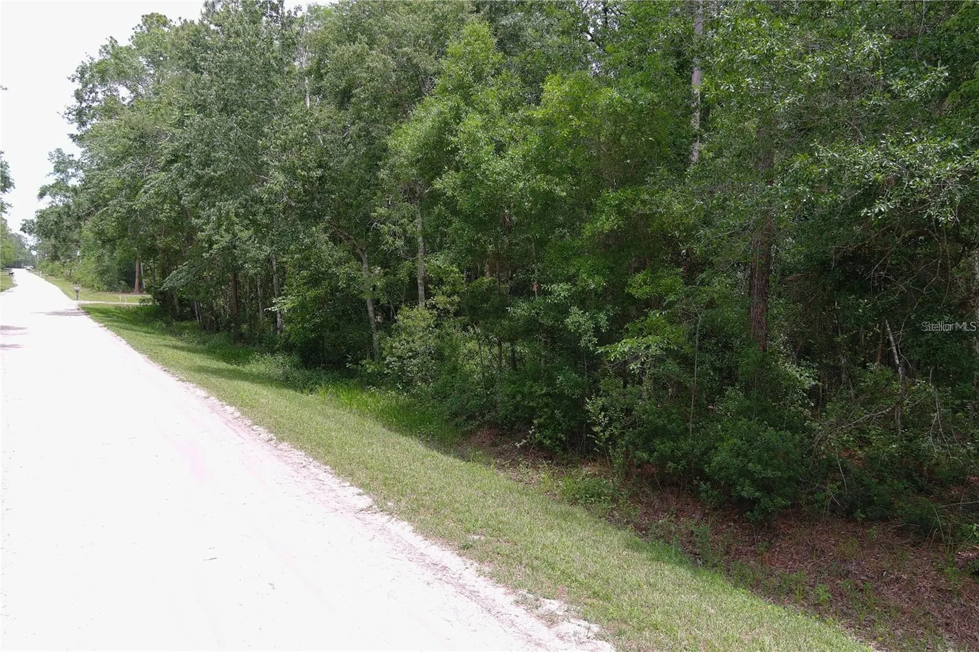 1823 Honeytree Street Bunnell FL 32110