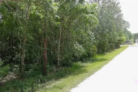 1823 Honeytree Street Bunnell FL 32110