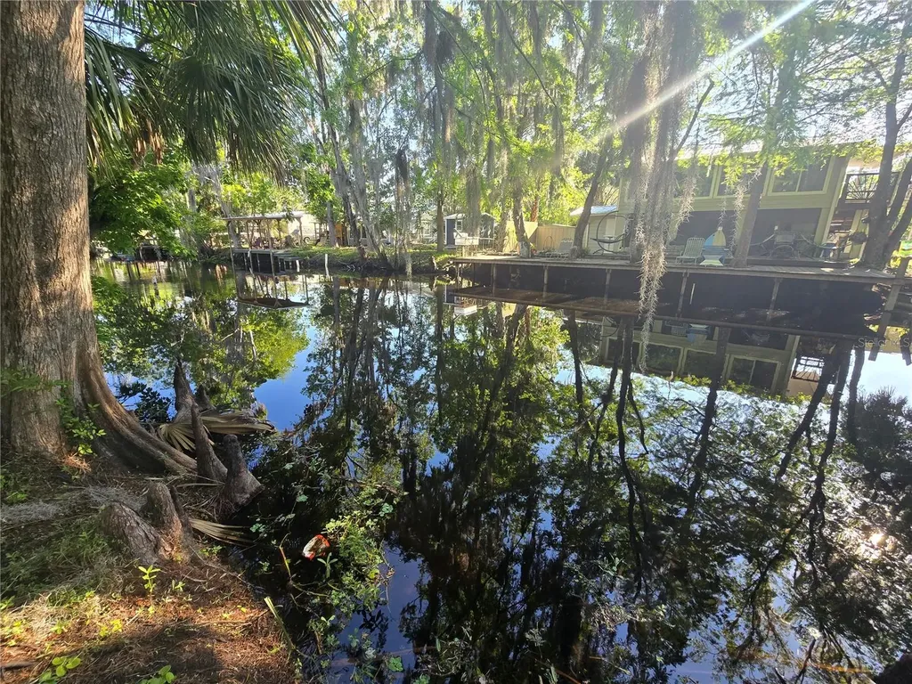 56290 Cherry Tree Road Astor FL 32102