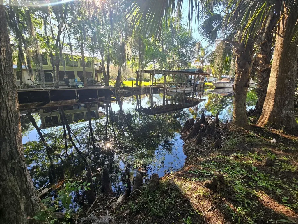 56290 Cherry Tree Road Astor FL 32102