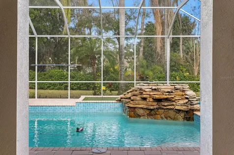 6441 Renwick Circle Tampa FL 33647