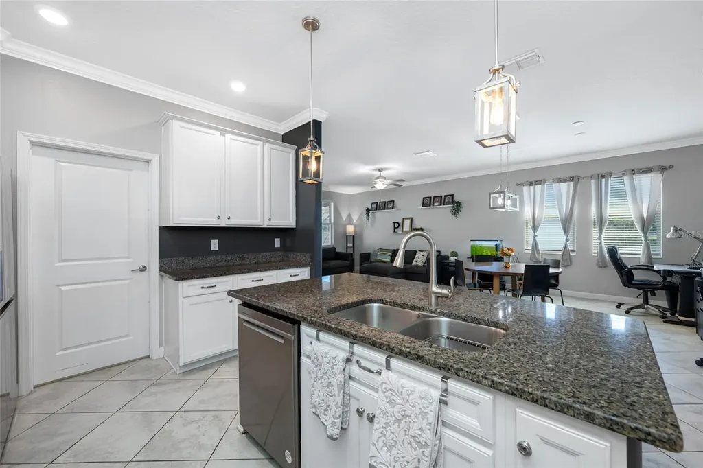 9205 Shadyside Lane Land O Lakes FL 34637