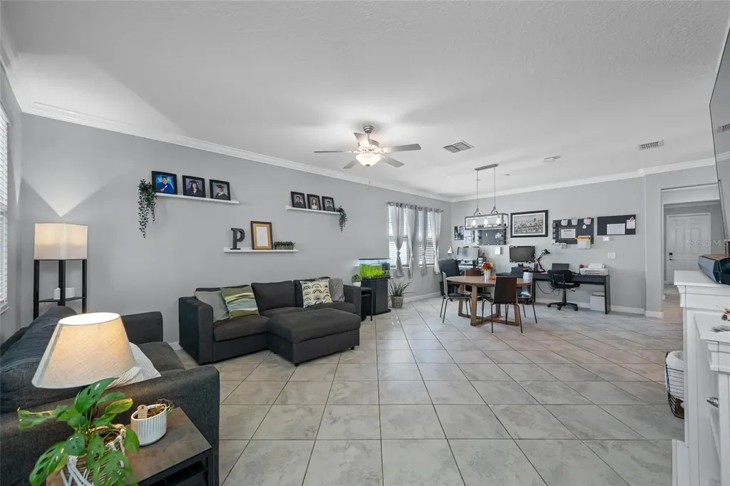9205 Shadyside Lane Land O Lakes FL 34637
