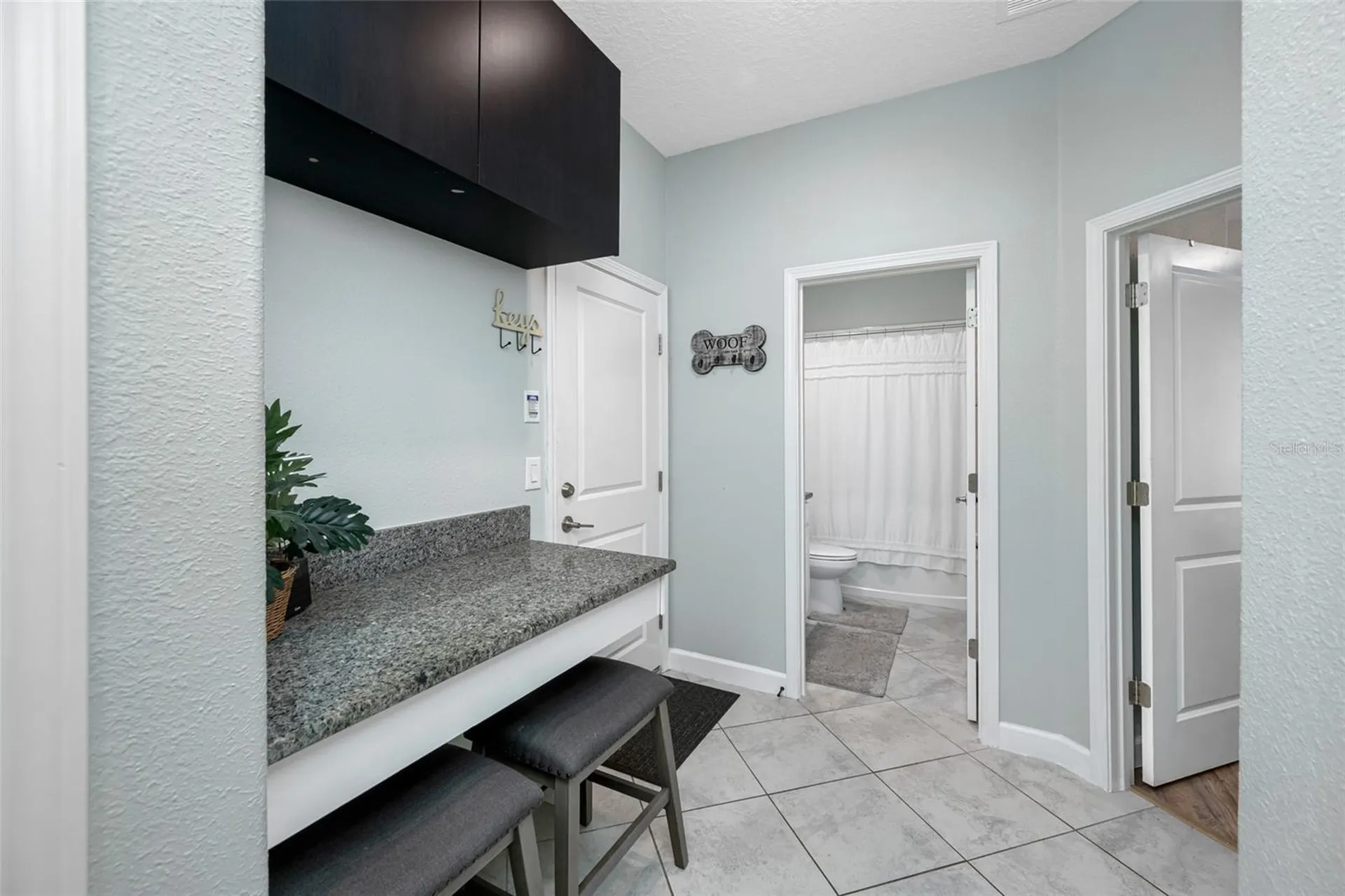 9205 Shadyside Lane Land O Lakes FL 34637