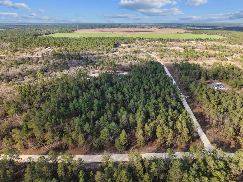 SE 126 Avenue Morriston FL 32668