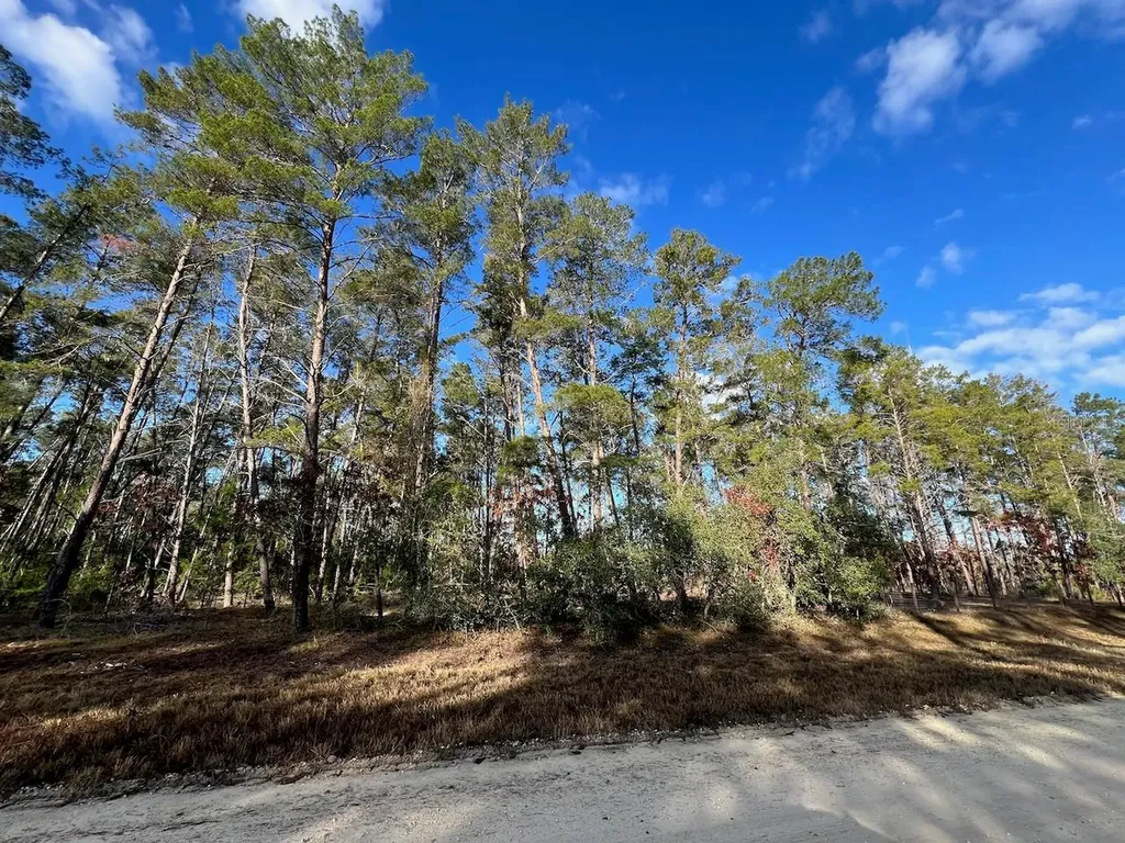 SE 126 Avenue Morriston FL 32668