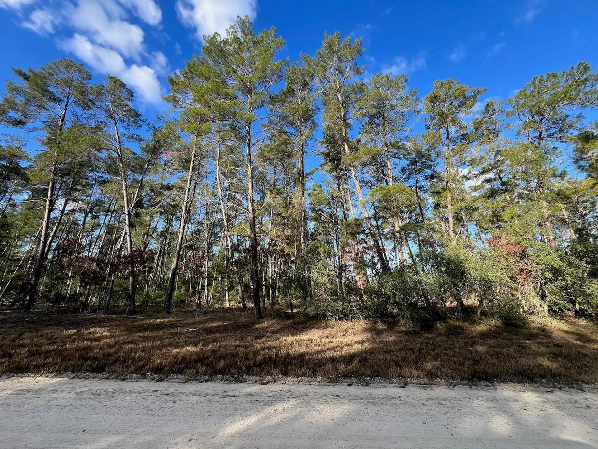 SE 126 Avenue Morriston FL 32668
