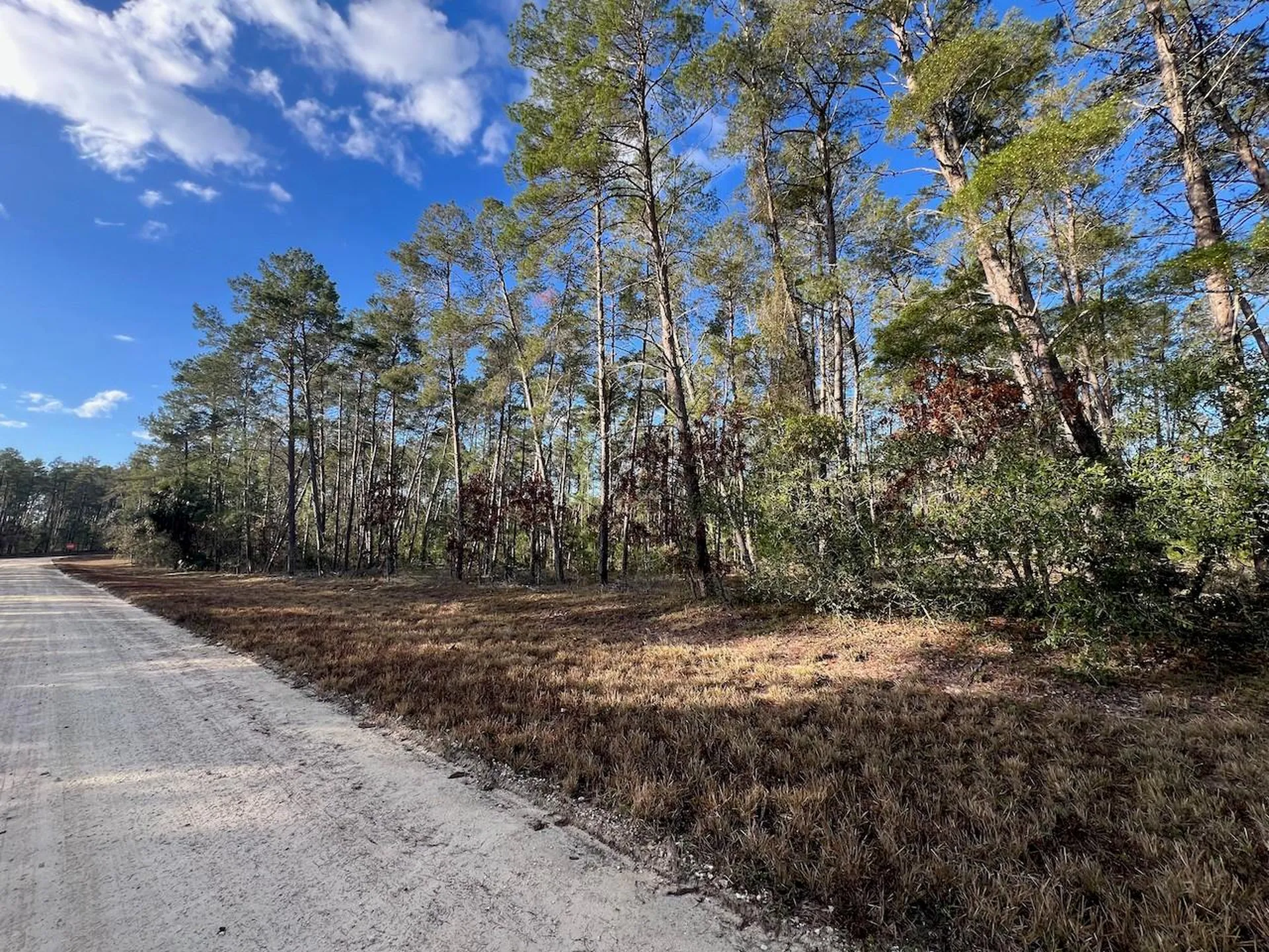 SE 126 Avenue Morriston FL 32668