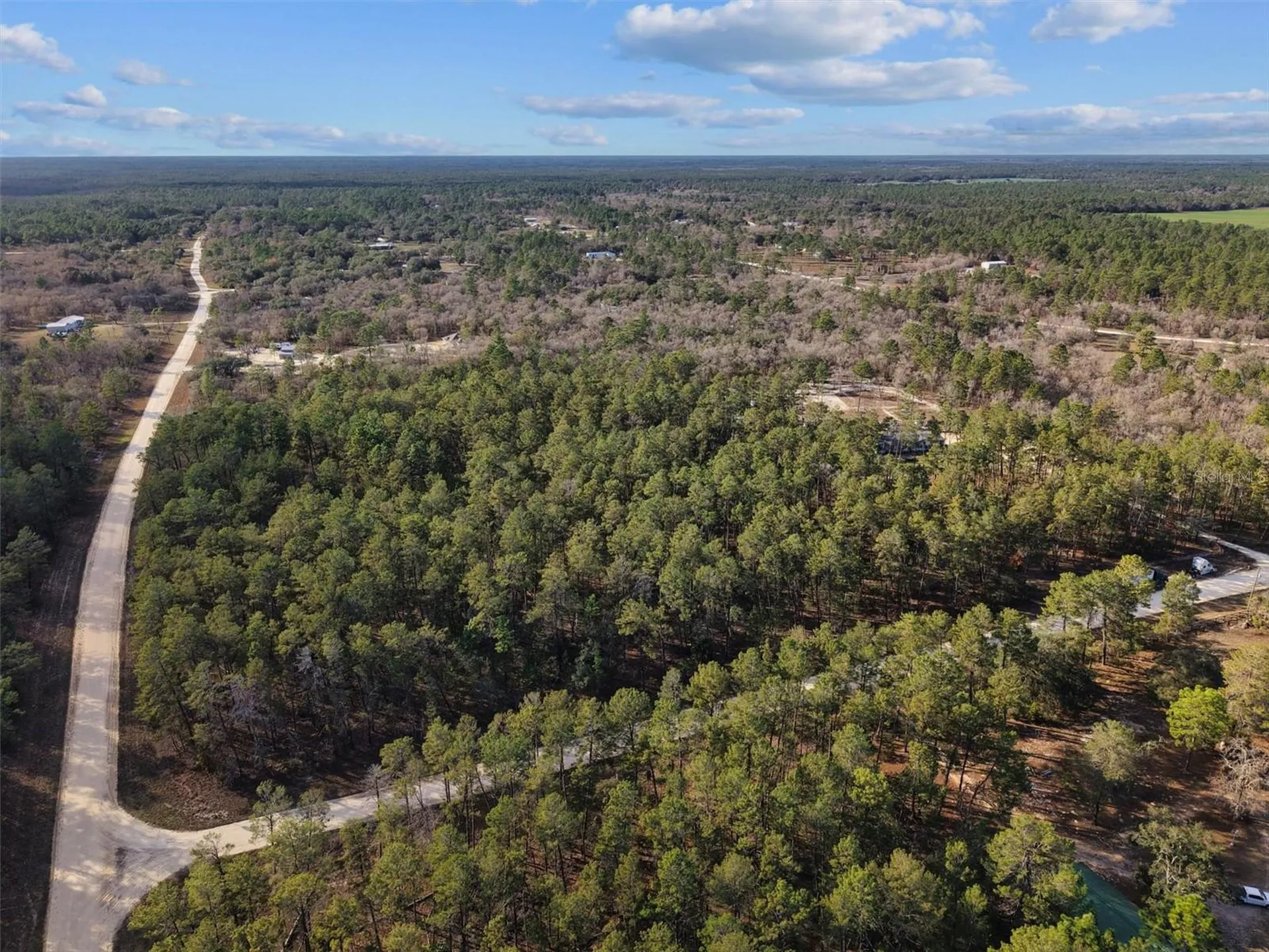 SE 126 Avenue Morriston FL 32668