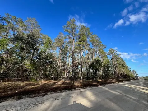 SE 126 Avenue Morriston FL 32668