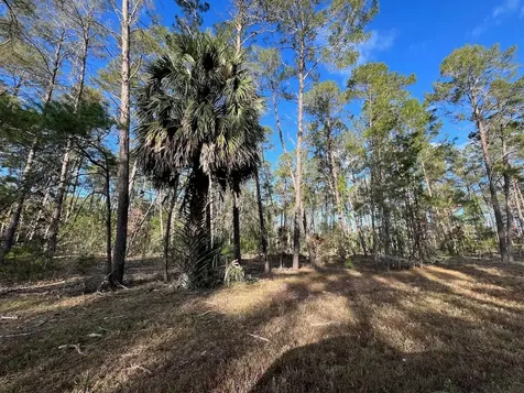 SE 126 Avenue Morriston FL 32668