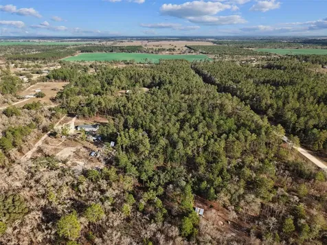 SE 126 Avenue Morriston FL 32668