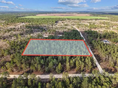 SE 126 Avenue Morriston FL 32668