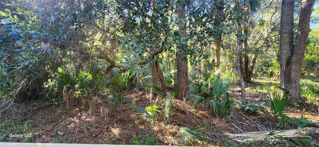 680 E Black Point Road Bunnell FL 32110