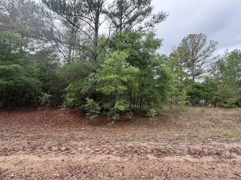 Maltas Avenue Interlachen FL 32148
