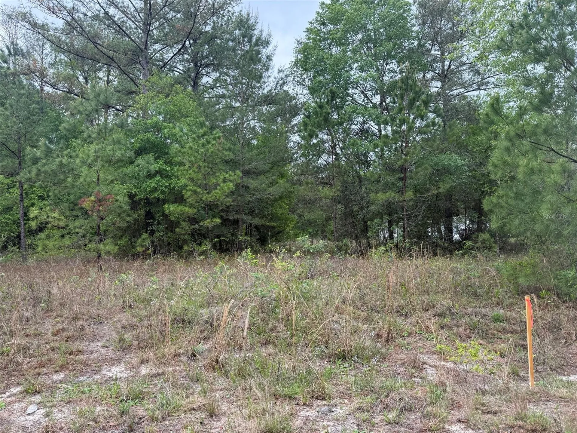 Maltas Avenue Interlachen FL 32148