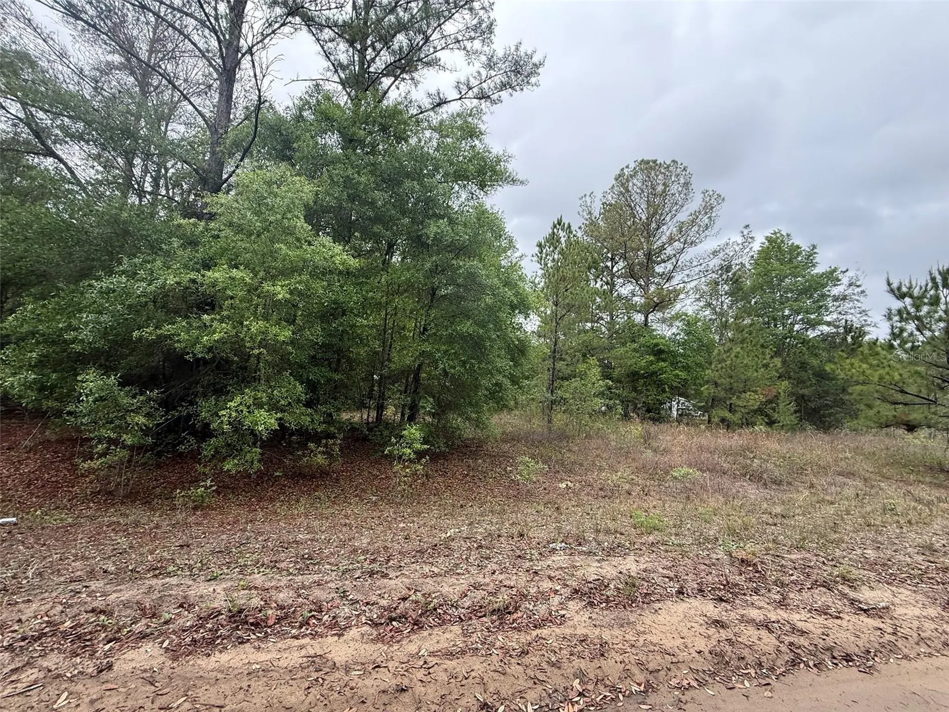 Maltas Avenue Interlachen FL 32148