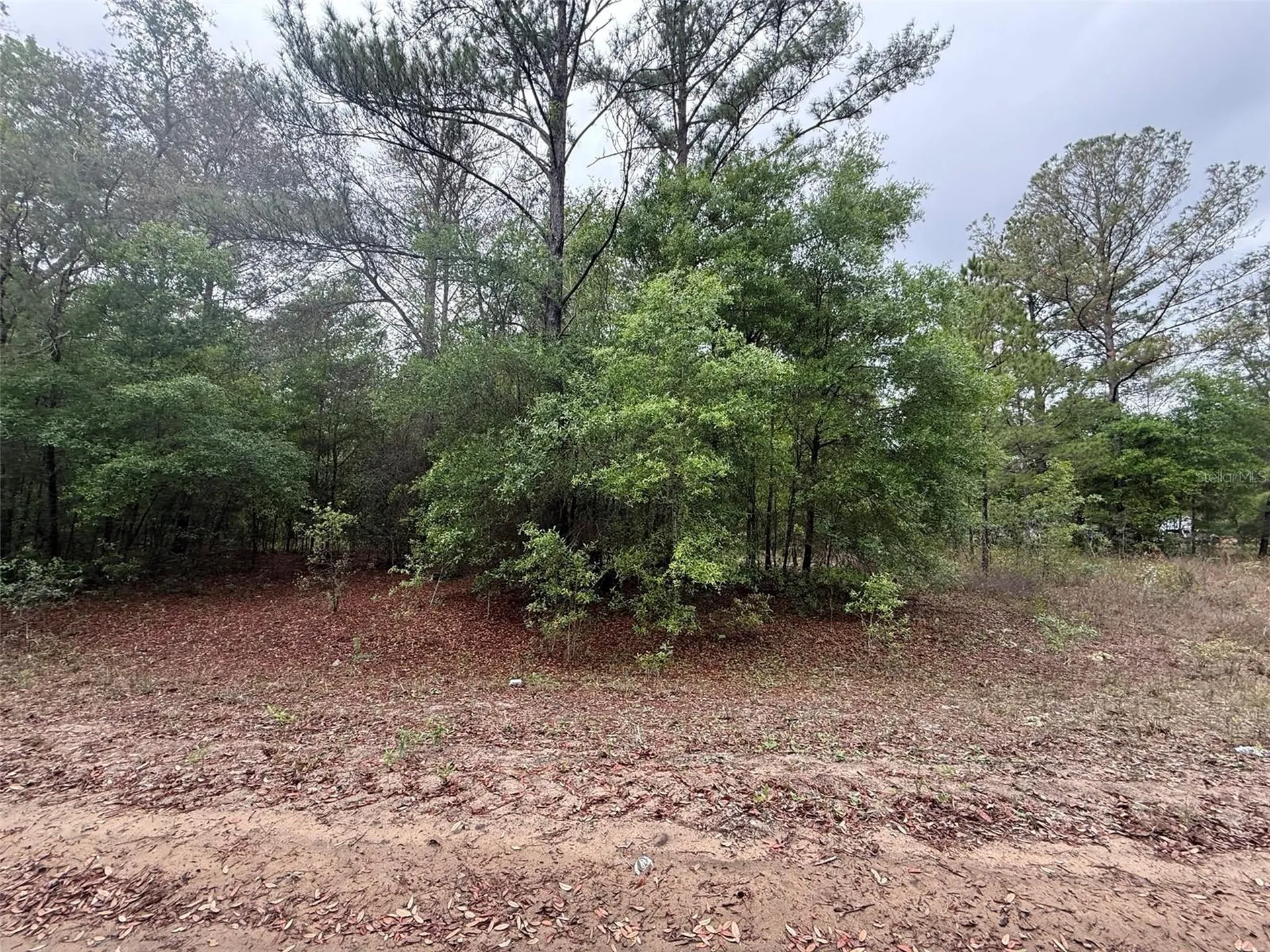 Maltas Avenue Interlachen FL 32148