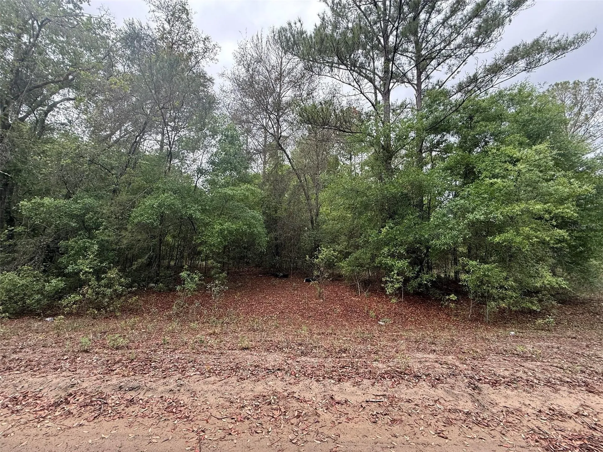 Maltas Avenue Interlachen FL 32148