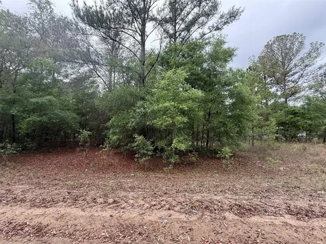 Maltas Avenue Interlachen FL 32148