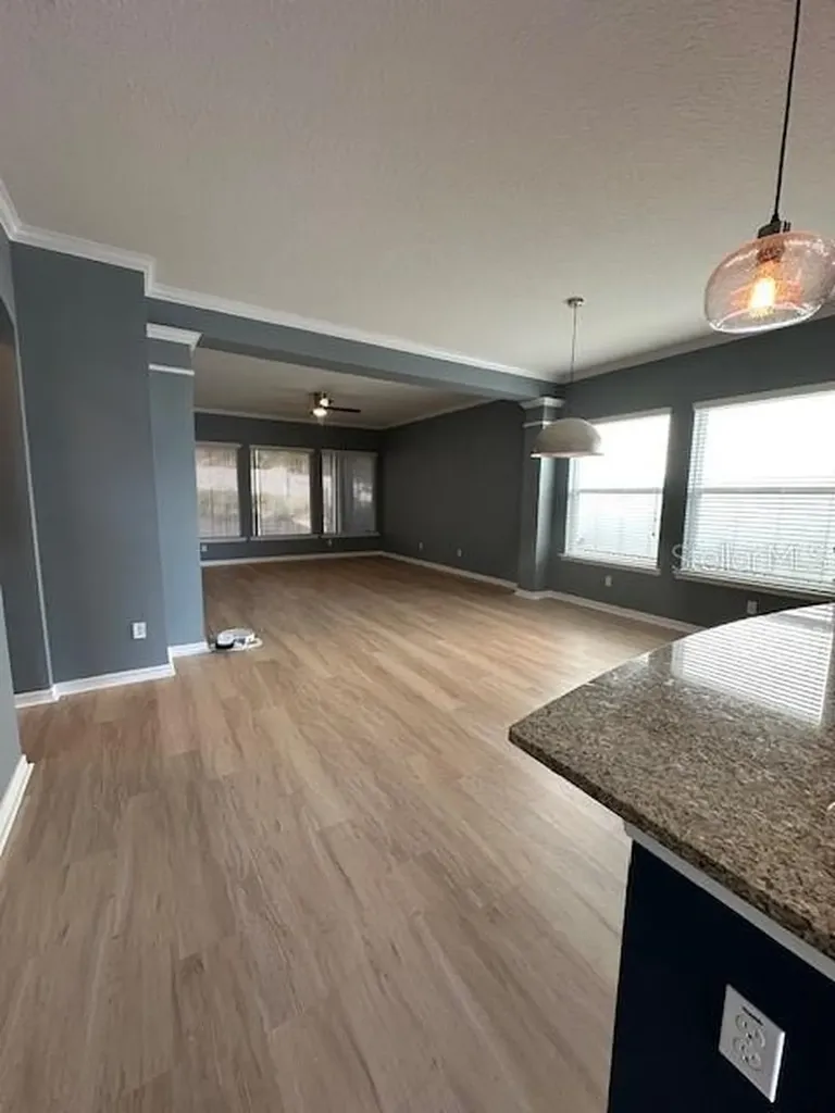 16758 Abbey Hill Court Clermont FL 34711