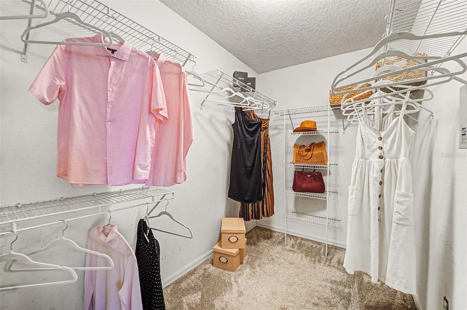 2449 Silvermoss Drive Wesley Chapel FL 33544