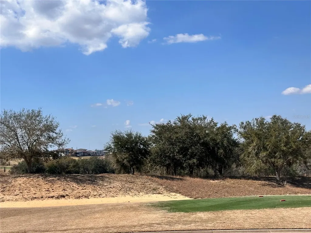 16238 Ravenna Court Bella Collina FL 34756