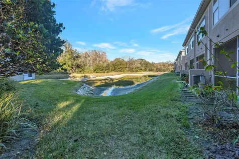 10033 Tranquility Way Tampa FL 33625