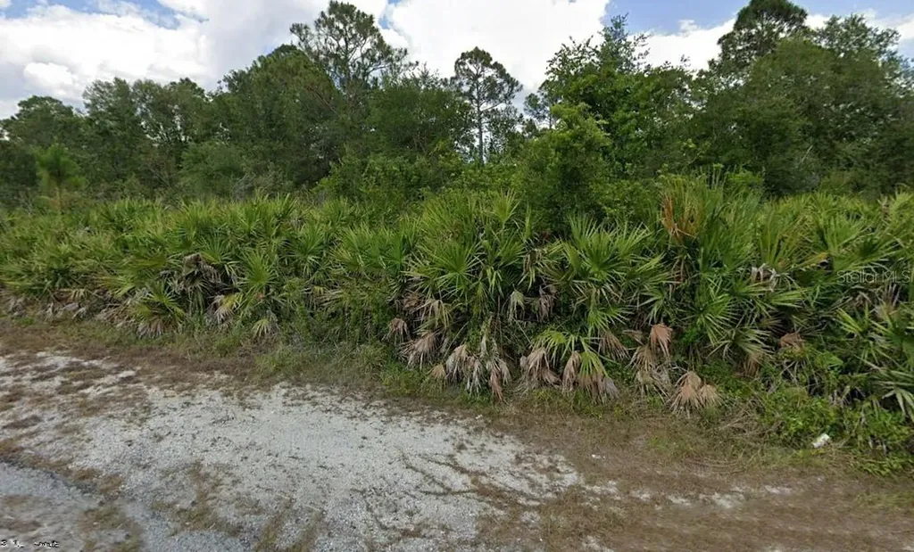 2020 Scott Avenue Alva FL 33920