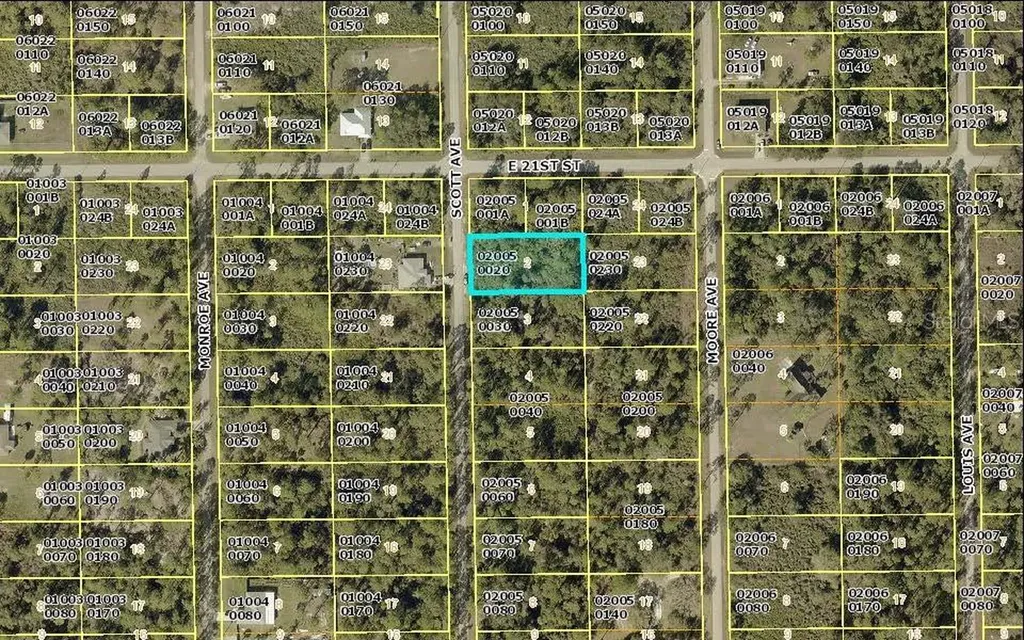 2020 Scott Avenue Alva FL 33920