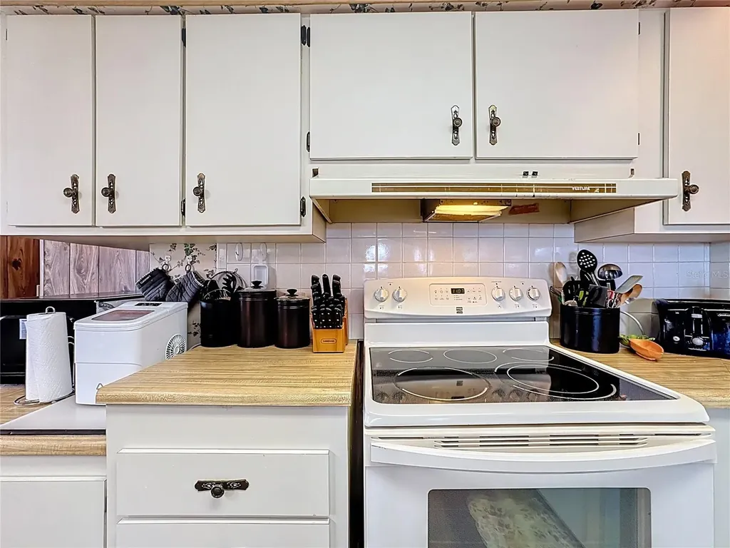 1311 Mohawk Circle Tavares FL 32778